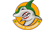 Radio Gozdawa